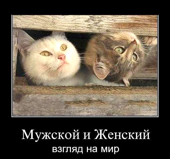 «Техника безопасности семейных отношений»
