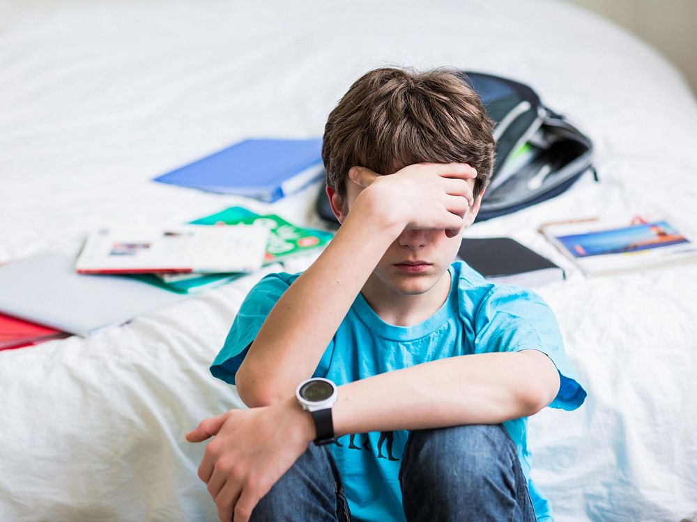 «Что творится в голове у подростка? Нейропсихология подросткового кризиса»