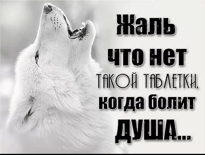 «Подружиться с волком» (для тех, кому больно)