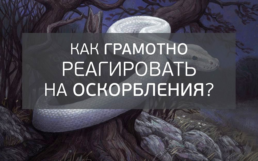 «Как грамотно реагировать на оскорбления?»