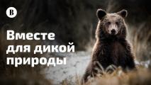 Стартует всероссийское голосование в рамках проекта "Вместе для дикой природы"