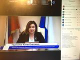 «Вебинар»