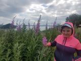 Природа Камчатского края