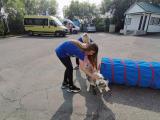 Один день из жизни лагеря