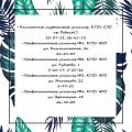 «Куда пойти учиться?»