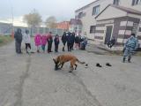 Экскурсия в Центр кинологической службы