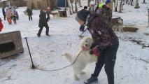 Тепло семьи