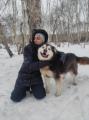 Волшебство в каждый дом