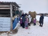 Контактная ферма «Иппо Дар»
