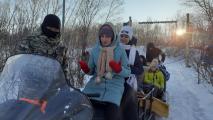 Катание на собачьих упряжках