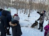 Поездка в питомник «Камчадал»