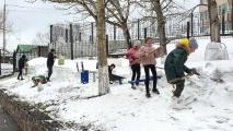 «Чистый двор»