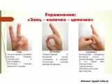 «Кинезиологические упражнения и развитие речи»
