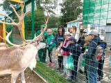 «День физкультурника» 