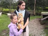 Контактный фермерский зоопарк при Центре развития ребёнка «ИппоДар» 