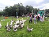 Контактный фермерский зоопарк при Центре развития ребёнка «ИппоДар» 
