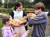Контактный фермерский зоопарк при Центре развития ребёнка «ИппоДар» 