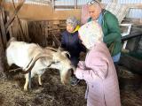  «Совместный семейный досуг» 
