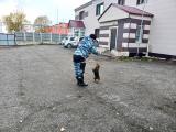 «Экскурсия в Центр кинологической службы ГУ МВД России по Камчатскому краю» 