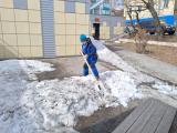 «Субботник» 