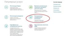 «Заявление о распоряжении средствами материнского капитала можно оформить на Госуслугах»