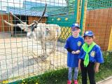 «Один день из жизни летнего лагеря» 