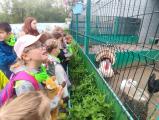 ДОЛ «Солнышко» 