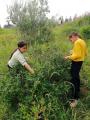 Акция «Ягодка доброты» 