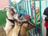ДОЛ «Солнышко» 