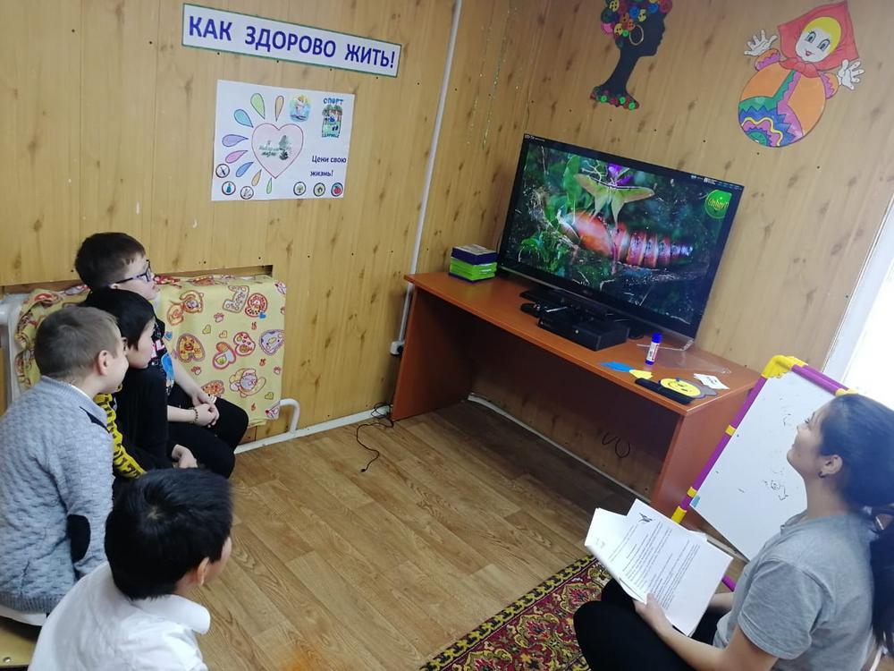 Наши воспитанники узнали о пользе жизненных трудностей