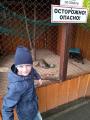 Поездка в камчатский зоопарк