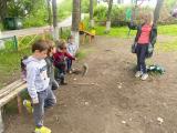 Знатоки дорожной азбуки 
