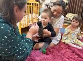Домашнее визитирование Службы ранней помощи