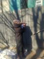 В Петропавловске-Камчатском позаботились о безопасности жителей частного сектора