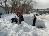 После пурги