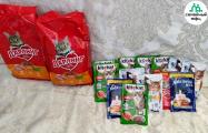 Воспитанники Семейного МФЦ посетили приют для кошек "Котофеево"