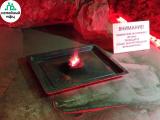 Воспитанники Центра "СЕМЬЯ" отправились на экскурсию в "Вулканариум"