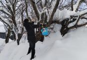 Воспитанники Отделения временного пребывания проявили себя в самых разных сферах