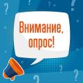 Опрос по теме: «Жизненная ситуация: Опека и попечительство».